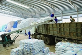 Nên tạm ngừng xuất khẩu để “hạ nhiệt” giá phân bón