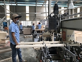 Kiểm soát chặt nguồn gốc để tăng tốc xuất khẩu gỗ sang Hoa Kỳ