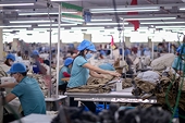 Doanh nghiệp gặp khó khăn trong vận chuyển hàng dệt may đi Nga