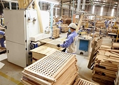 Các doanh nghiệp gỗ đã kín đơn hàng đến hết quý 3 năm nay