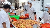 Dịch bệnh và giá nguyên nhiên liệu tác động xấu đến xuất khẩu