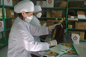 Mật ong Việt Nam vẫn có cơ hội tiếp tục được giảm thuế