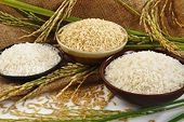 Xuất khẩu gạo tăng trưởng hai con số nhờ nhu cầu thế giới cao và tận dụng FTA