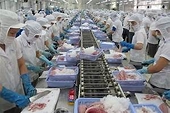 Xuất khẩu thủy sản sang Bắc Âu: Hiểu rõ nhu cầu để chiếm lĩnh thị trường