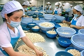 Việt Nam luôn duy trì xuất siêu sang thị trường Thụy Sỹ