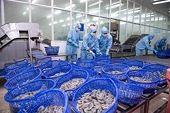 Xuất khẩu tôm quý I tăng 44% nhờ cú hích từ thị trường Mỹ, EU và Trung Quốc