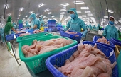 Việt Nam không có đối thủ xuất khẩu cá tra sang Bắc Âu