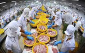 Kim ngạch thương mại hai chiều Việt Nam – Nhật Bản tăng 11% trong quí 1