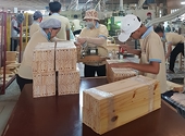 Xuất khẩu sẽ lập kỷ lục mới