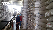 Xuất khẩu gạo vào ASEAN cần nắm bắt ngay những lợi thế