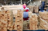 Vận hành hiệu quả hệ thống cảnh báo sớm phòng vệ thương mại
