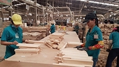 Tìm cách bảo vệ ngành gỗ xuất khẩu tỉ USD