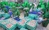 Các quy định mới của EU doanh nghiệp xuất khẩu cần lưu ý