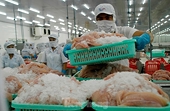 Thị trường rộng mở, xuất khẩu cá tra tiếp tục khởi sắc