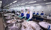 Hỗ trợ doanh nghiệp giảm rủi ro trong xuất khẩu thủy sản sang Châu Phi