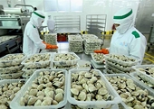 Xuất khẩu cần thêm những trợ lực để về đích năm 2022