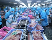 Xuất khẩu thủy sản Việt Nam sang Trung Quốc năm nay sẽ tăng trưởng rất khả quan