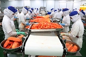 Gạo, cà phê, trái cây, thủy sản có cơ hội lớn ở thị trường thành viên RCEP