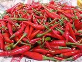 Malaysia đã bỏ lệnh cấm nhập khẩu ớt Việt, doanh nghiệp vẫn 'lơ mơ’