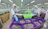 Hiệp định RCEP mở lối cho hàng Việt xuất khẩu