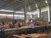 Chuyên gia Trung Quốc lưu ý doanh nghiệp Việt Nam 8 điểm khi xuất khẩu gỗ sang Trung Quốc