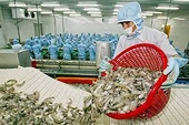 Doanh nghiệp xuất khẩu tôm "chuộng" thị trường Canada