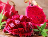 Sức hút của thanh long: Thế giới xem là "siêu trái cây", Việt Nam là nhà xuất khẩu số 1