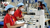 Tăng trưởng xuất khẩu tiếp tục tạo động lực khôi phục nền kinh tế