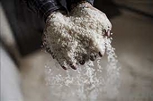 Khuyến cáo doanh nghiệp về dư lượng khi xuất khẩu sang EU