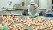 Vì sao xuất khẩu tôm tăng trưởng âm trong tháng 6?