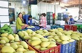 Đa dạng hóa sản phẩm, mở rộng thị trường xuất khẩu