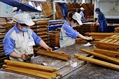 Xuất khẩu gỗ và lâm sản có thêm tháng ‘giảm tốc’, doanh nghiệp giảm đơn hàng Mỹ và EU