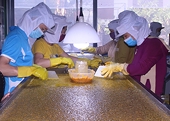 Chanh dây được xuất khẩu chính ngạch vào Trung Quốc, nhưng còn rất nhiều việc phải làm, đó là những việc gì?