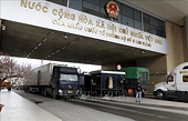 Không chậm trễ xuất khẩu chính ngạch