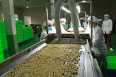Giúp doanh nghiệp xuất khẩu tận dụng lợi thế