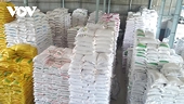 Nhiều tiềm năng xuất nhập khẩu nông sản với Bờ Biển Ngà