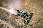Việc Trung Quốc áp thuế quan cao 'ngất ngưởng' đã mở ra cơ hội mới cho nông sản Úc?