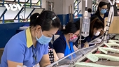 Cảnh báo rủi ro xuất, nhập khẩu cuối năm do biến động tỷ giá