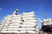 Vì sao gạo xuất khẩu của Việt Nam vẫn chưa dùng hết hạn ngạch 80.000 tấn của hiệp định EVFTA?