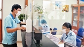 Giả mạo hồ sơ, nhà xuất khẩu mất quyền tự chứng nhận xuất xứ hàng hóa
