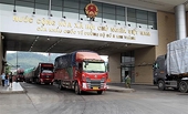 Doanh nghiệp nào phải đăng ký xuất khẩu sang thị trường Trung Quốc?