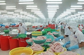 Xuất khẩu thủy sản đã bắt đầu “ngấm đòn” từ việc đồng Euro mất giá