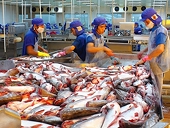 Xuất khẩu cá tra giảm tốc