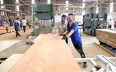 Triển vọng xuất khẩu gỗ sang Mỹ nửa cuối năm 2022 kém sáng