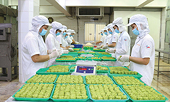 Đẩy mạnh xuất khẩu sang EU: Phải gắn với phát triển bền vững