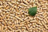 Xuất khẩu viên nén bứt tốc, ngành lâm sản có thể về đích với 16,4 tỷ USD?