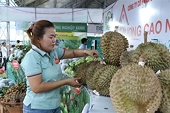 Có 51 mã vùng trồng sầu riêng được xuất khẩu sang Trung Quốc