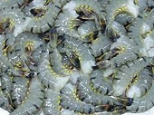 Hoa Kỳ ban hành kết luận cuối cùng trong đợt rà soát cuối kỳ lần thứ 3 về thuế chống bán phá giá đối với tôm nước ấm nhập khẩu từ Việt Nam