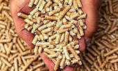 Cân nhắc phương án điều chỉnh thuế suất xuất khẩu đối với viên gỗ nén và viên than gỗ
