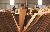Hoa Kỳ gia hạn thời gian ban hành kết luận cuối cùng vụ việc điều tra lẩn tránh BPPVTM đối với gỗ dán sử dụng nguyên liệu gỗ cứng nhập khẩu từ Việt Nam